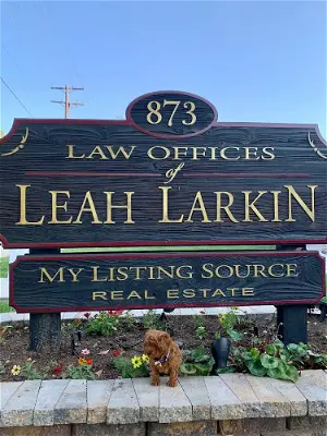 Law Offices of Leah Larkin
