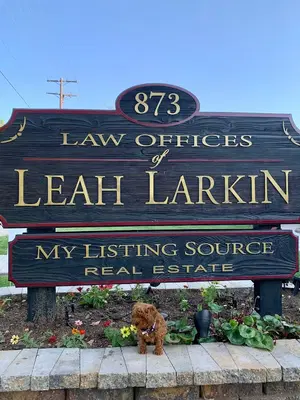 Law Offices of Leah Larkin